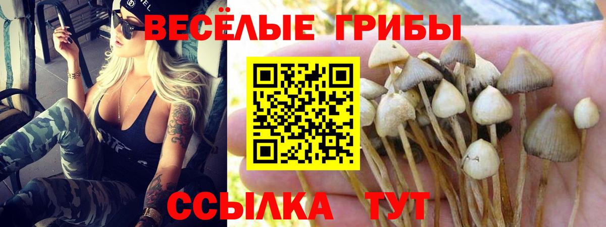 Псилоцибиновые грибы Magic Shrooms  Вход с VPN  закладки  Волжский  Псилоцибиновые грибы прущие грибы 